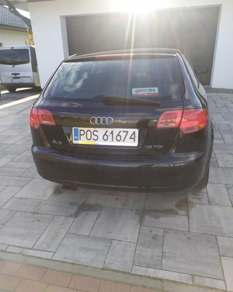 Audi A3 cena 13800 przebieg: 365088, rok produkcji 2007 z Pleszew małe 137